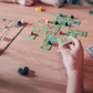 Carcassonne